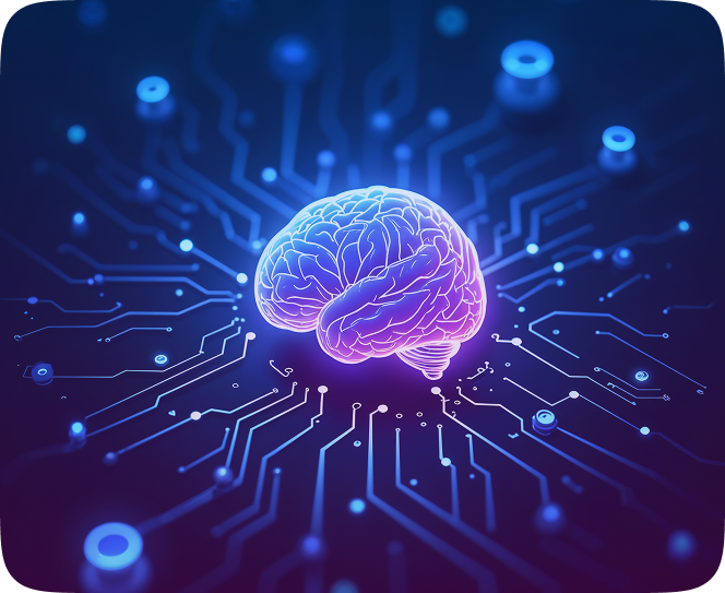 Brain Circuit